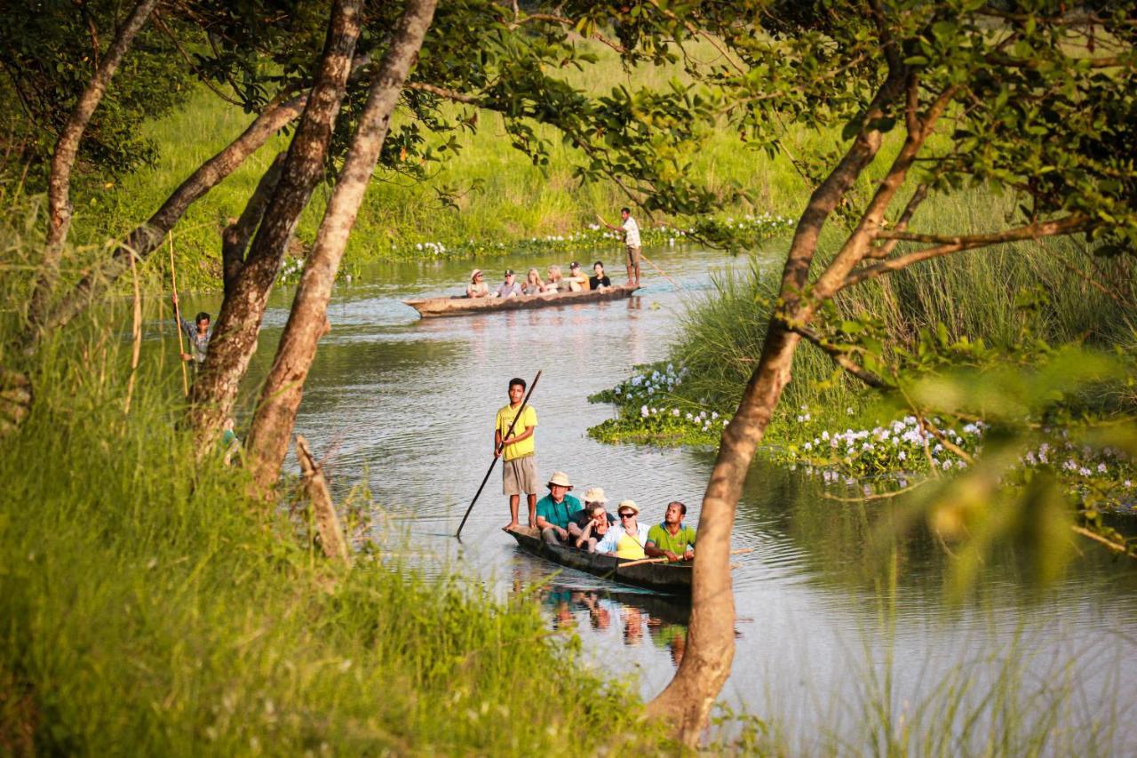 Hotel Tharu Garden, Sauraha Esterno foto