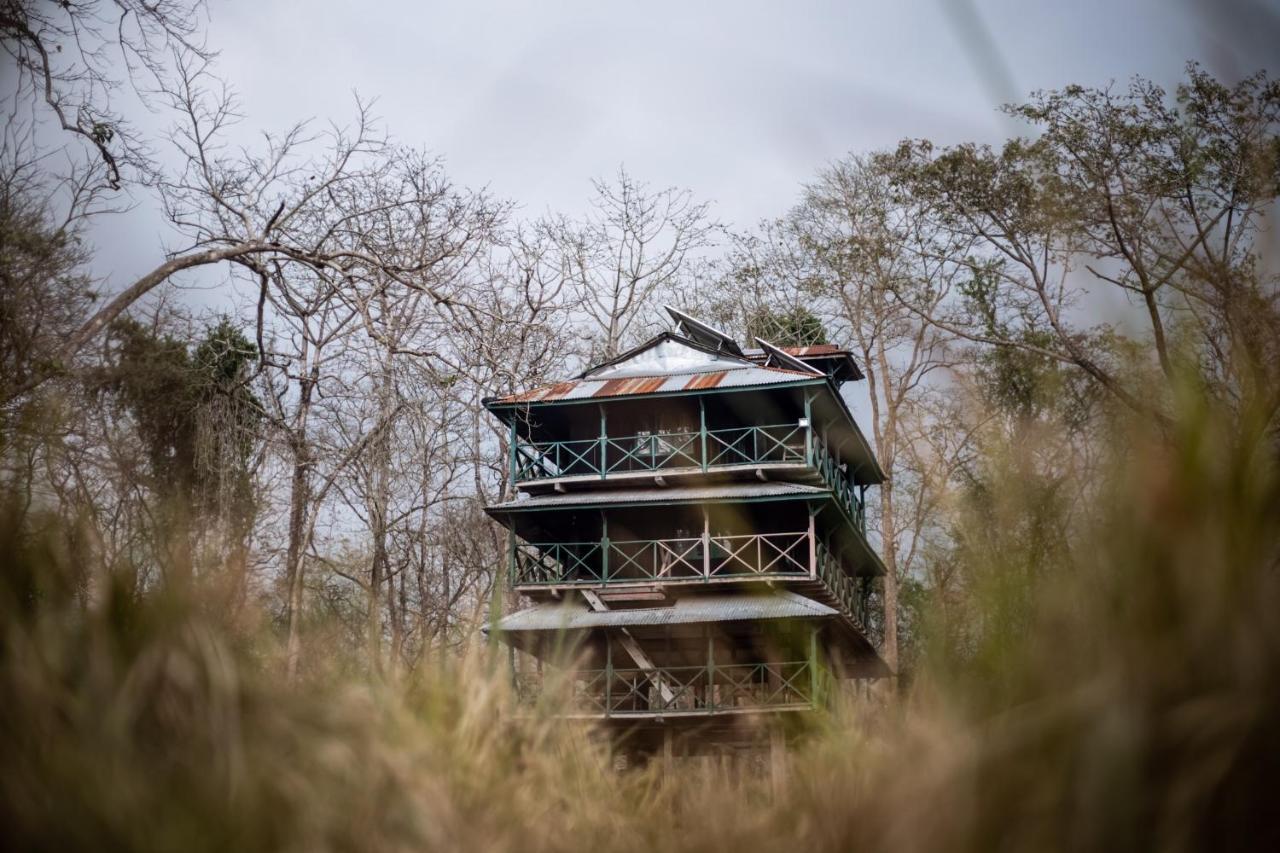 Hotel Tharu Garden, Sauraha Esterno foto
