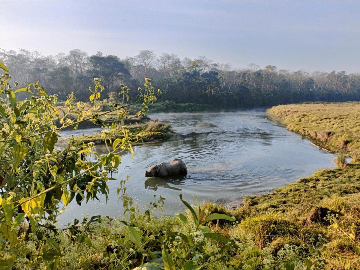 Hotel Tharu Garden, Sauraha Esterno foto