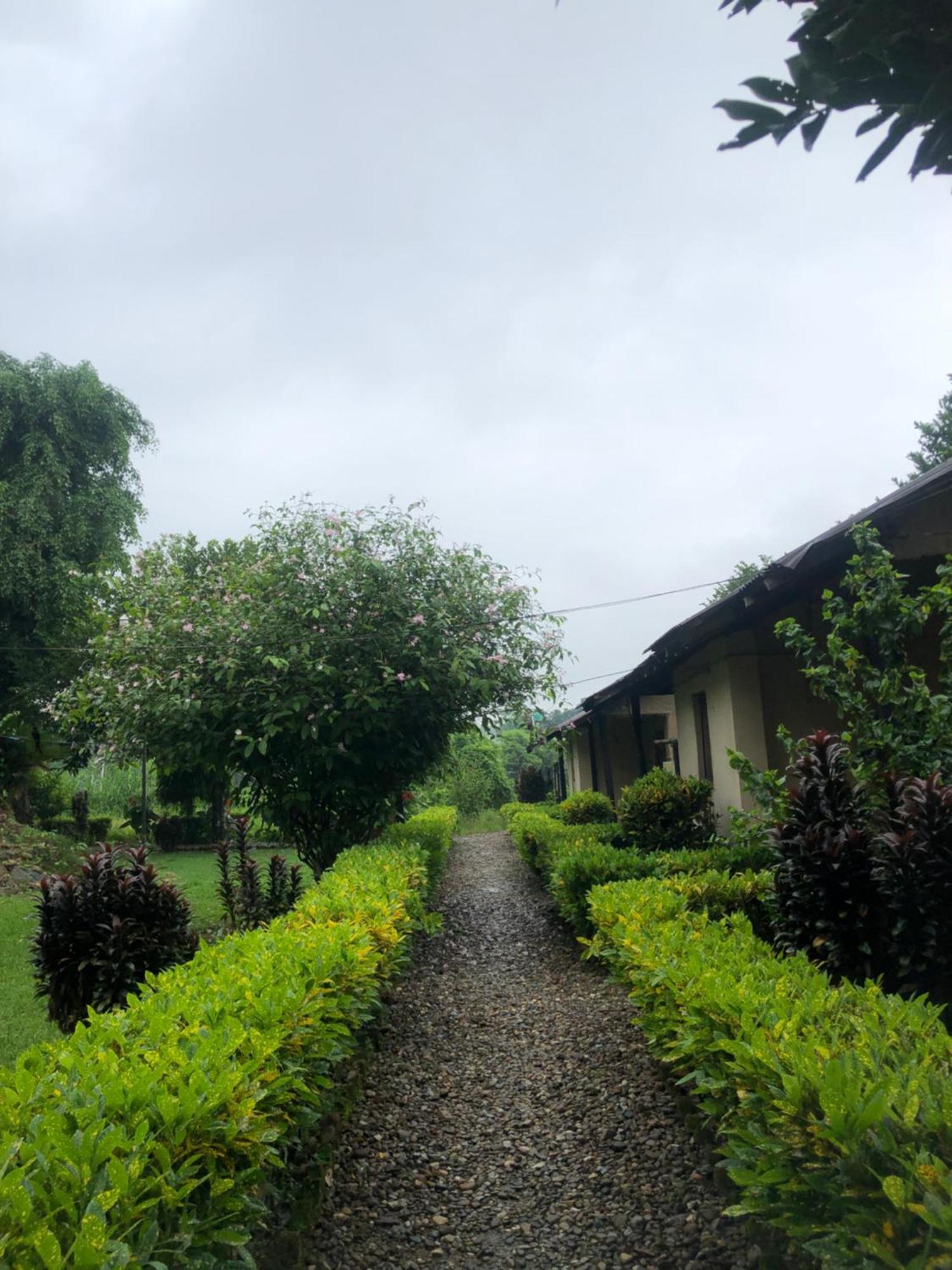 Hotel Tharu Garden, Sauraha Esterno foto